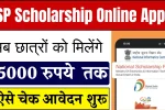 NSP Scholarship Online Apply